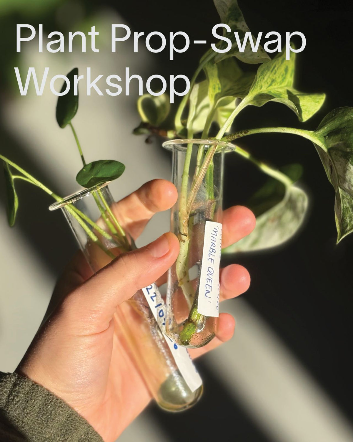 Plant Prop-Swap Workshop 22nd Nov 2026