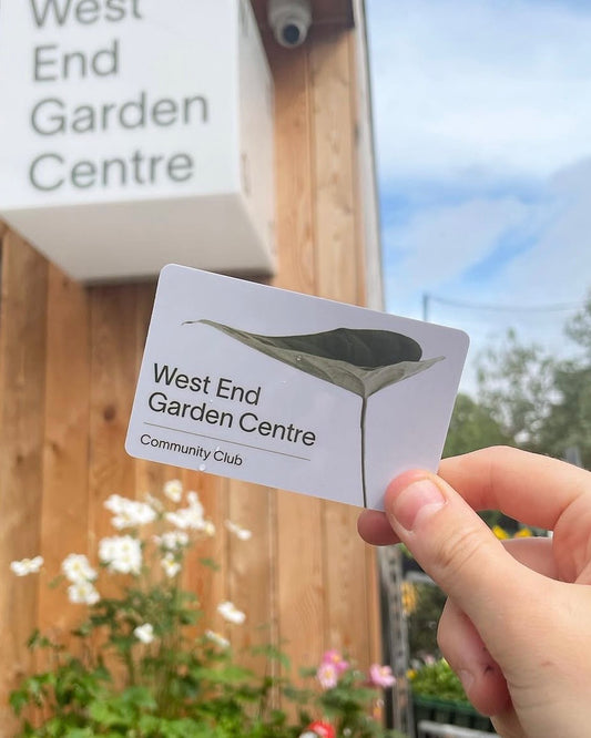 WEGC Community Club Subscription