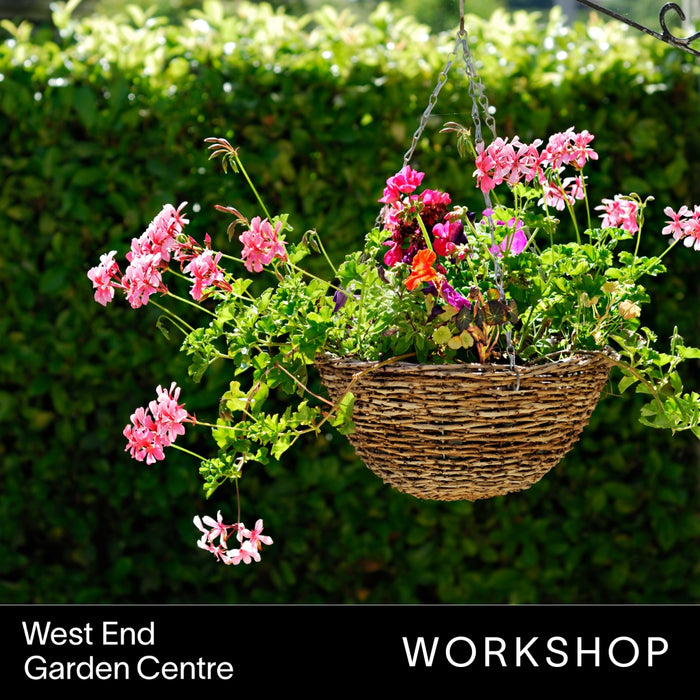 Summer Hanging Basket Workshop | Tuesday 28th May