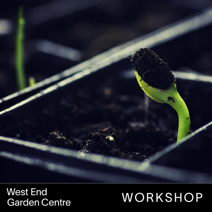 Window Box & Seed Sowing Workshop - Tuesday 27th of February